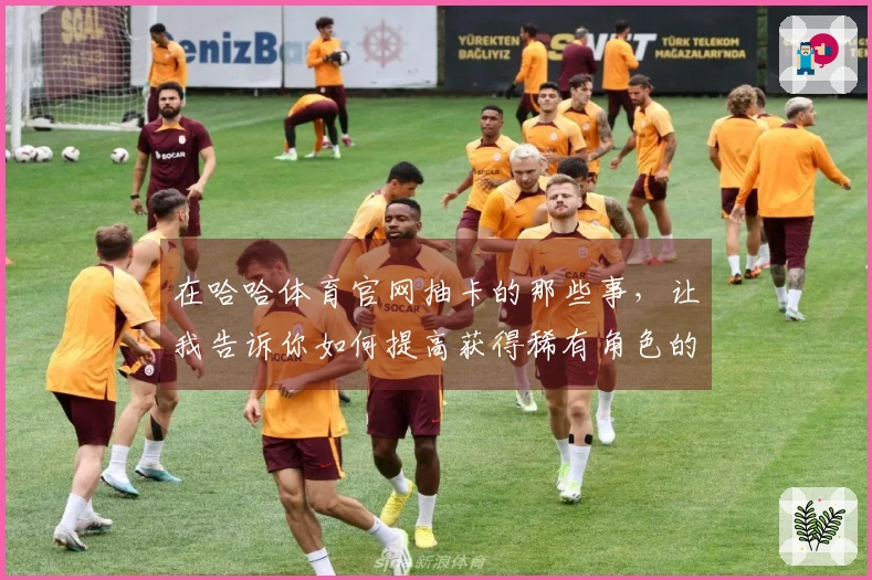 在哈哈体育官网抽卡的那些事，让我告诉你如何提高获得稀有角色的几率！