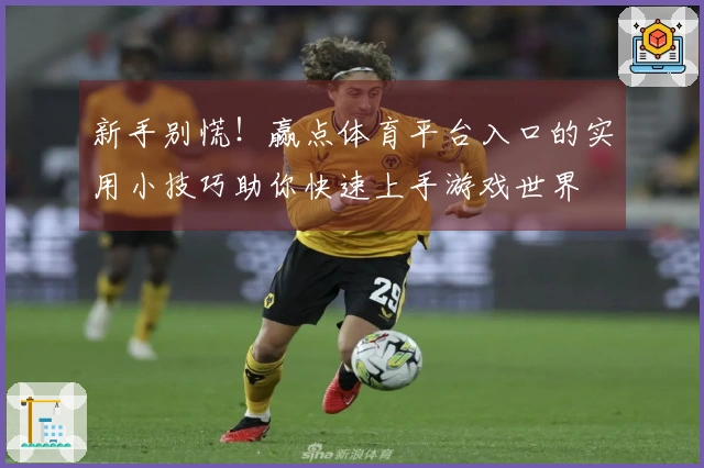 新手别慌！赢点体育平台入口的实用小技巧助你快速上手游戏世界